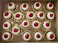 18 Count Mini Flans